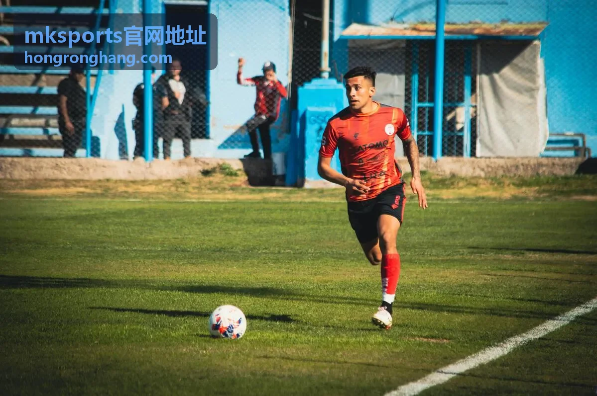 mksports官网地址备用入口启用顺序示意图