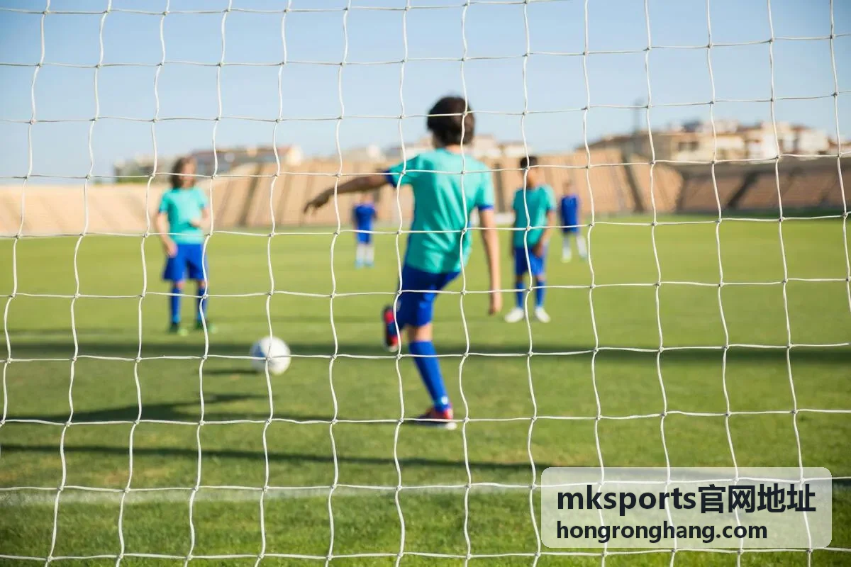 mksports官网地址页面遇浏览器拦截时的处理示意