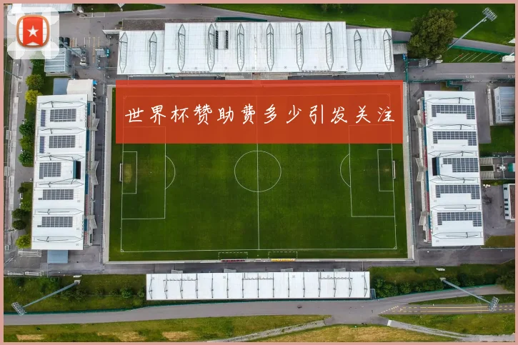 世界杯赞助费多少引发关注