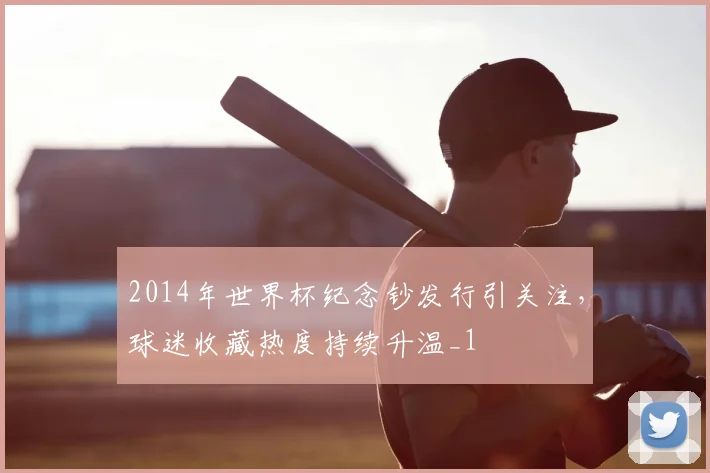 2014年世界杯纪念钞发行引关注,球迷收藏热度持续升温_1