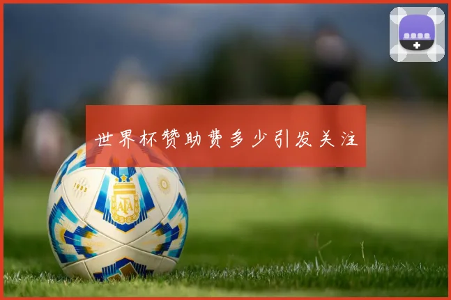 世界杯赞助费多少引发关注