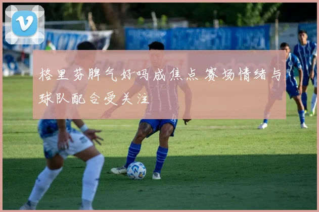 格里芬脾气好吗成焦点 赛场情绪与球队配合受关注