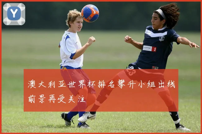 澳大利亚世界杯排名攀升小组出线前景再受关注